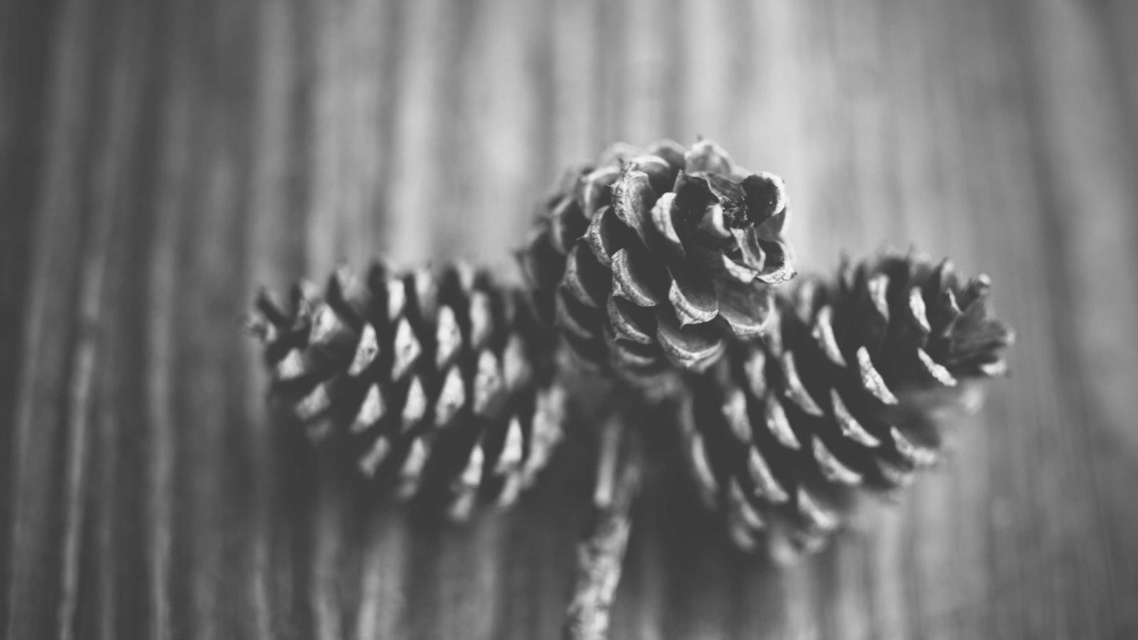 Reducing Churn with Automated Onboarding